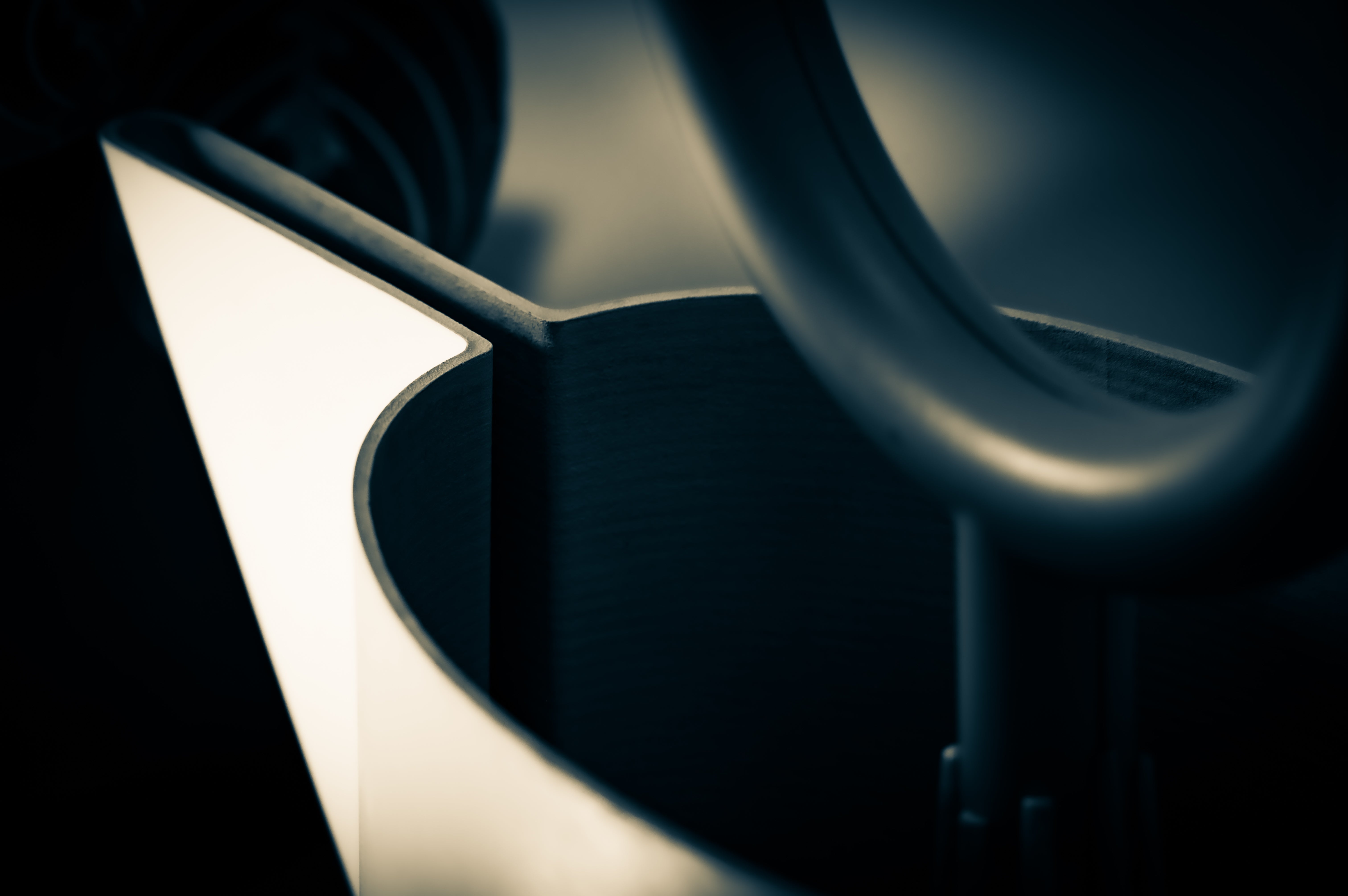 We Took Off Our Top for the Environment