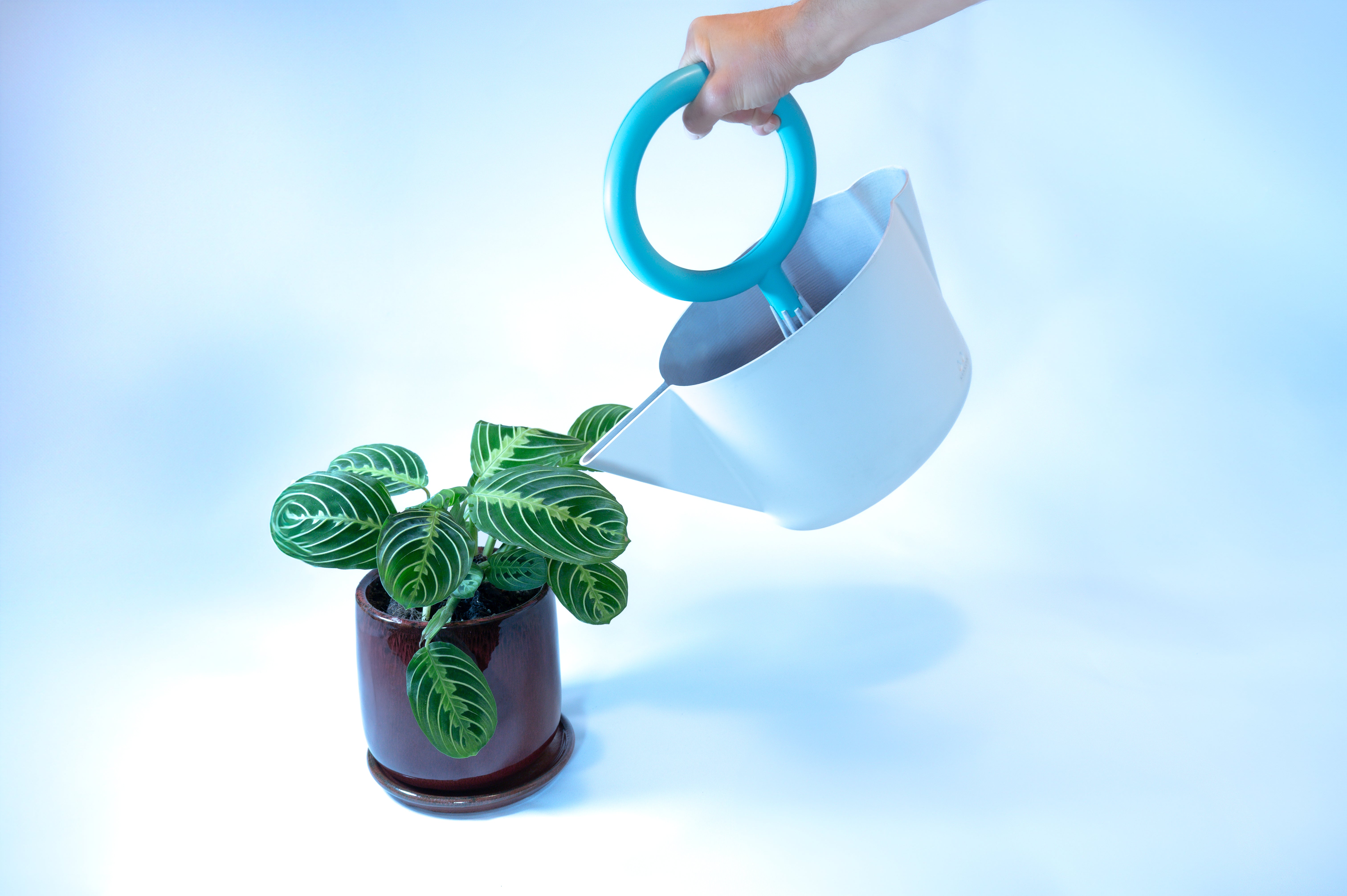 The Power of Two: The Showercan’s Dual Spouts